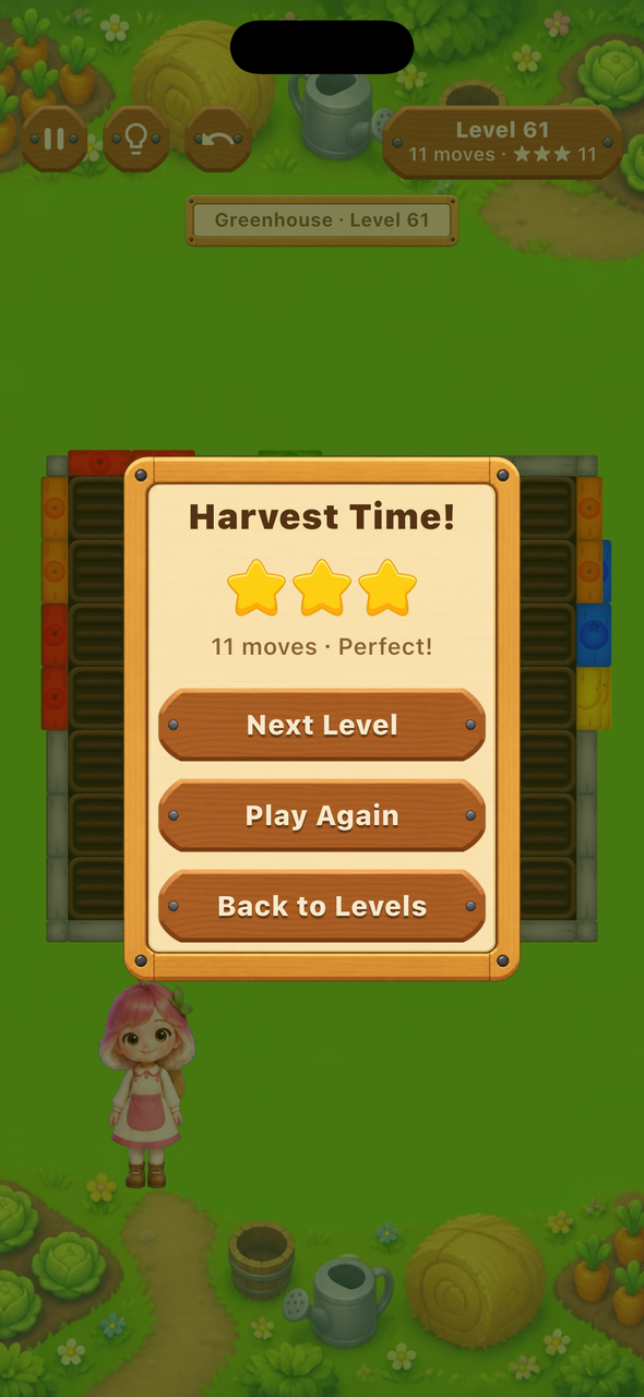 Three-star result showing the 11-move best solution